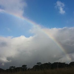 Meet your Posher, Marlene